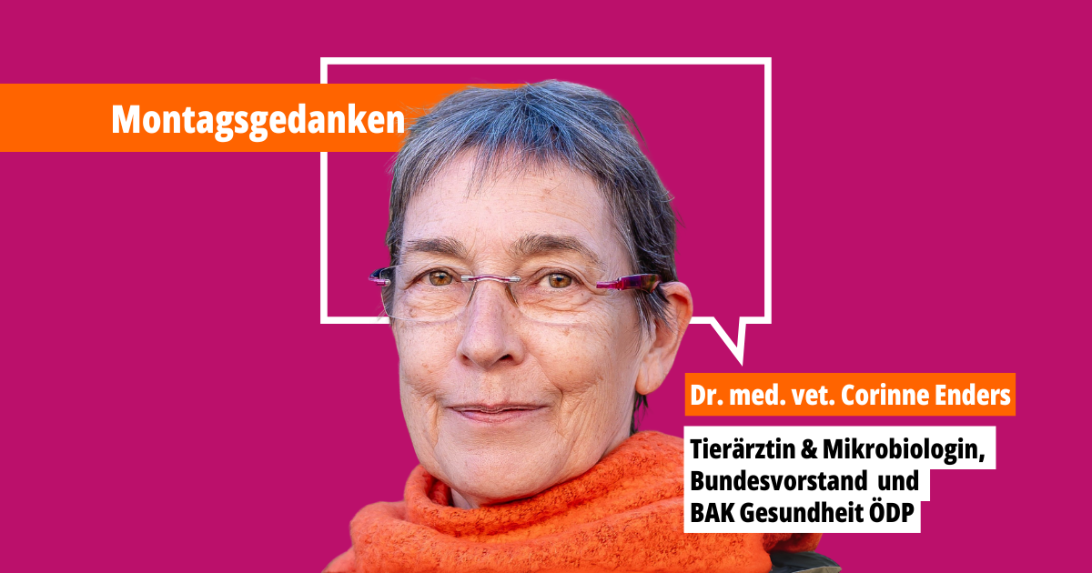 Corinne Enders Corinne Enders